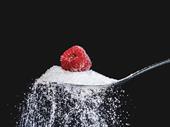 successful raw sugar plant