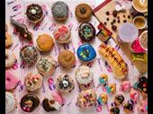 join donut king proven
