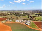wholesale production business-agriculture 1m+