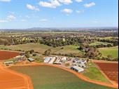 wholesale production business-agriculture 1m+