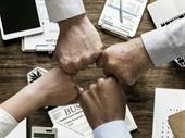 ballarat consulting business sales