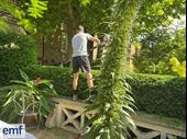 profitable landscaping business uttoxeter