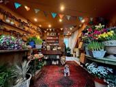 popular florist devon