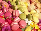 award-winning artisan macaron brand