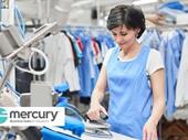 well-established dry cleaning business
