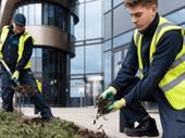 grounds maintenance franchise