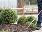 well-established grounds maintenance services