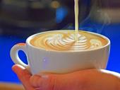 specialty coffee roaster café