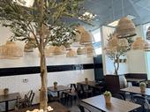 modern turnkey restaurant las