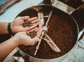 premium-boutique-coffee roaster northern nsw