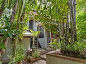 7 tropical income producing