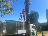 thriving home commercial maintenance