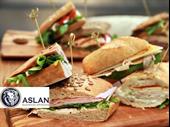 franchise sandwich business for
