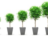 profitable franchise consultancy with