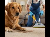 carpet cleaning business