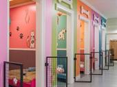 premium pet kennel care