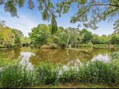 commercial coarse fishery surrey