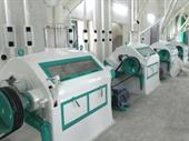 modern flour mill plant