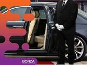 35653 established profitable limousine