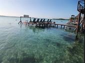 business opportunity bacalar