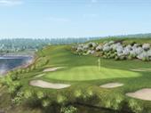 incredible golf simulator experience