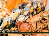 distribution of seafood