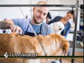 pet paradise alabama