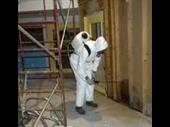 lucrative mold water damage