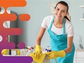 34666 profitable cleaning business