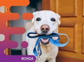 36008 established pet care