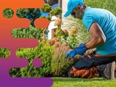36015 established profitable lawn