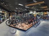 my ride e-bikes standard