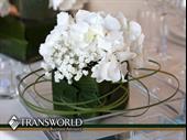 highly reputable event planning