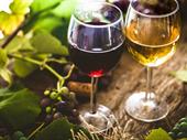 profitable tasmanian wine distribution
