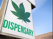 profitable legal cannabis shops