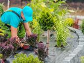 high-earning garden building supplies