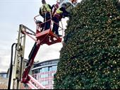 the christmas decorators lincolnshire