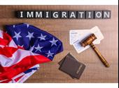 immigration law practice with