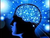 ai assessment platform b2b