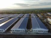 high standard pig farm