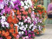 high margin wholesale drop-shipping