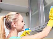 established eco cleaning business