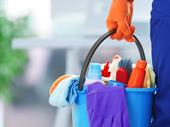 established cleaning handyman business