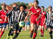 youth sports program business