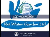 koi carp business henley