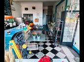 artisan coffee shop café