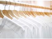 established profitable dry cleaner