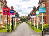 lettings estate agency south