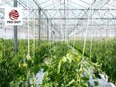 vegetable fruit production farm
