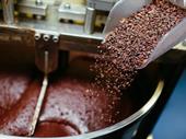 premium high-end chocolate manufacturer